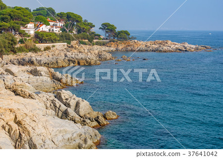 Nice detail from Costa Brava coastal in Spain 37641042