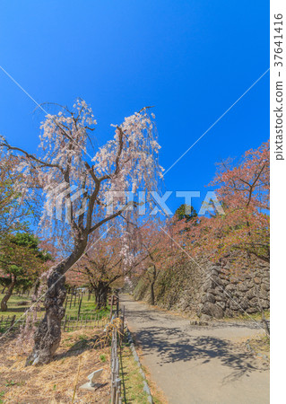 Spring nostalgic landscape 37641416