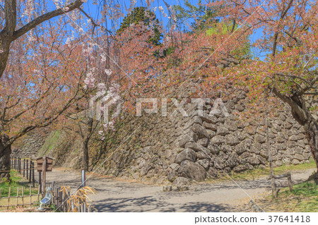 Spring nostalgic landscape 37641418