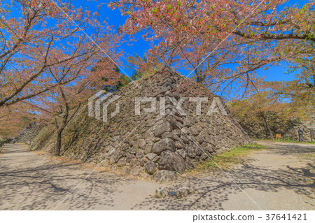 Spring nostalgic landscape 37641421