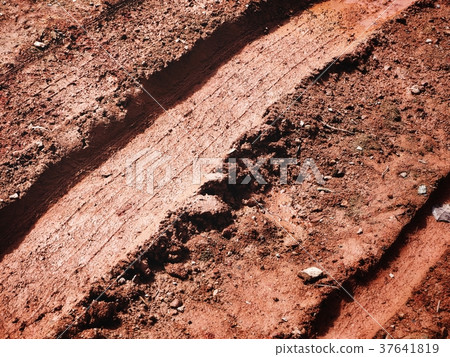 Wheel tracks on the soil 37641819