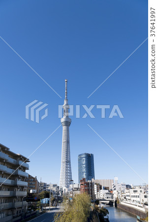 東京天空樹 37641997