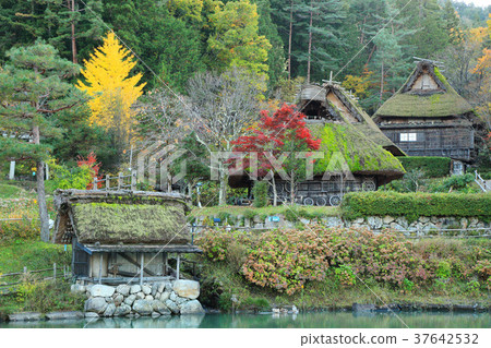 秋季飛ida高山 37642532