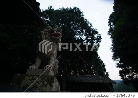 Higashiyama Shrine Higashiyama Shrine 37643379