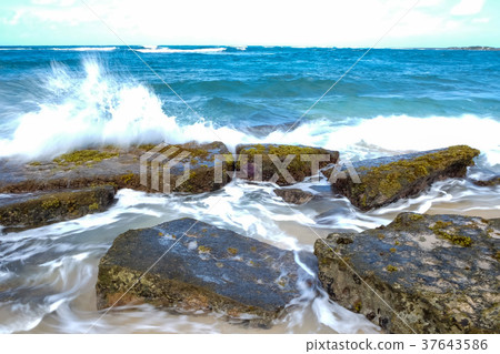 Turtle Bay Pacific Ocean Beach Turtle Bay Pacific Ocean Beach 37643586