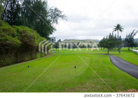 Turtle Bay Golf Course 37643672