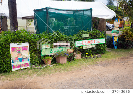 Food Oahu Hawaii Food Oahu Hawaii 37643686