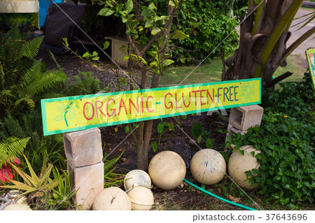 Food Oahu Hawaii 37643696