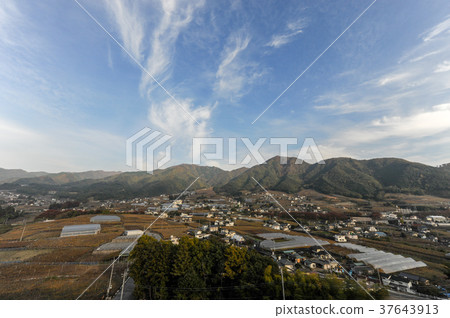 葡萄山景觀 37643913