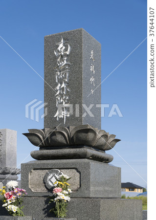 Grave image 37644107