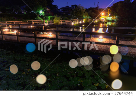 Flower Island Park at night 37644744