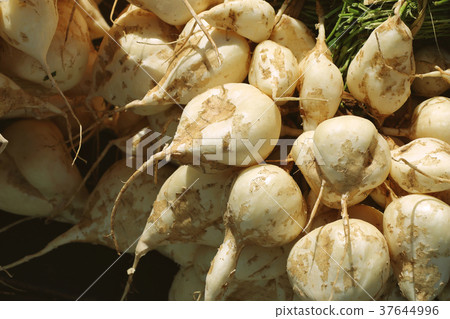 Jicama, crisp fresh and sweet fruit in market 37644996