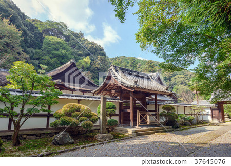 Mitsui-ji Temple (Sonjoji Temple) Kojoin Guest House 37645076