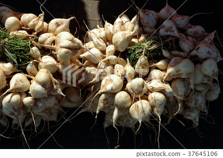 Jicama, crisp fresh and sweet fruit in market 37645106