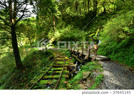 Quiet, Fendo Fine, Forest Bath, Negative Ion, Relaxation, Breathing, Health, Comfort, Air Quality, See Qinghuai Ancient Trail, Trail, Forest Railway 37645145