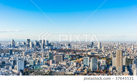 modern city skyline  aerial view in Tokyo, Japan 37645531