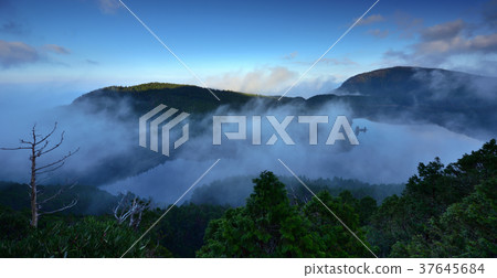 高山湖泊,湖,清晨,水,高山,山,山嵐,雲,霧氣,氣象,森林,太平山森林遊樂區,宜蘭縣,大同鄉 37645684