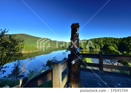 高山湖泊,湖,清晨,水,高山,山,山嵐,藍,倒影,氣象,森林,丘陵,寧靜,芬多精,森林浴 37645704