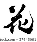 Flower ④ 37646091