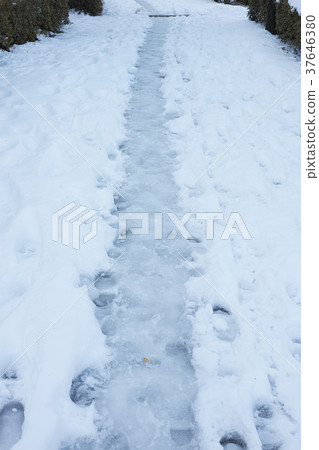 一條多雪的邊路的風景 一條多雪的邊路的風景 37646380