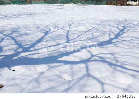 公園與雪的開放空間 公園與雪的開放空間 37646385