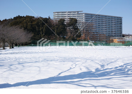 Park open space with snow Park open space with snow 37646386