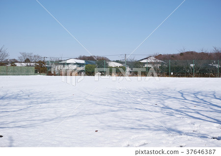 Park open space with snow 37646387