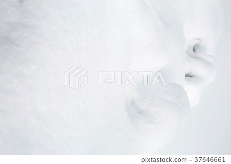 Snow scene 37646661
