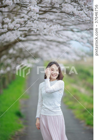 櫻花日期 37646756