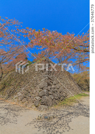 Spring nostalgic landscape 37646779