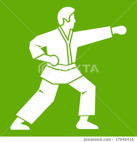 Aikido fighter icon green 37648416