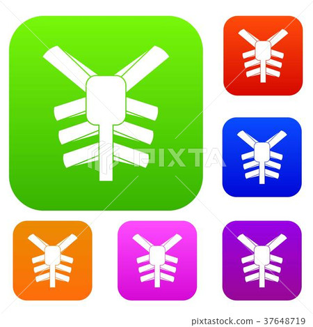 Human thorax set color collection 37648719