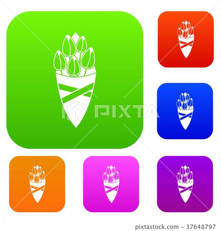 Bouquet of tulip flowers set color collection 37648797