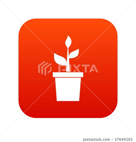Plant in clay pot icon digital red Plant in clay pot icon digital red 37649165