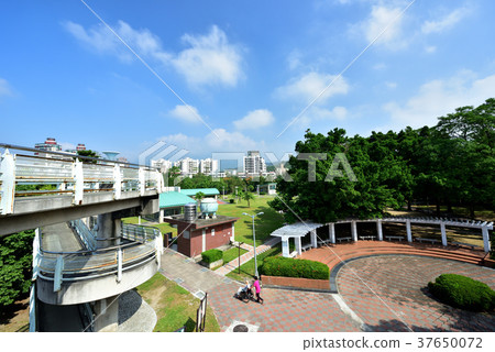 公園,樹,休閒,場景,涼亭,建築物,草,陸橋,清新,新鮮,自然 公園,樹,休閒,場景,涼亭,建築物,草,陸橋,清新,新鮮,自然 37650072