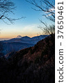 黎明時分的富士山 37650461