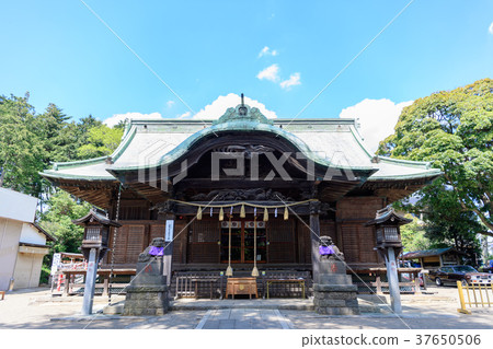 Ninomiya Shrine 37650506