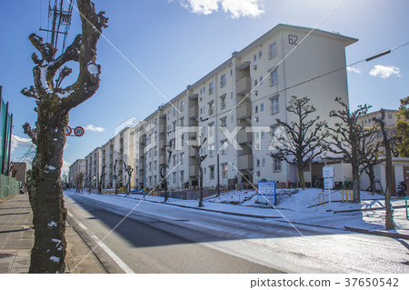 Winter estate Winter estate 37650542