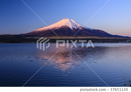 Mount Fuji  37651120