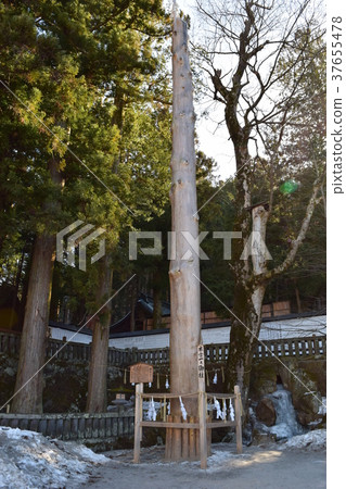 Shinano Kunichi Ichinomiya Suwa Taisha Kamisha Honmiya Hajime's pillar 37655478