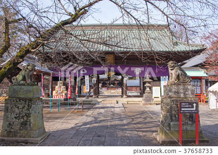 Tsuganuma Seitenyama Kumagaya 37658733