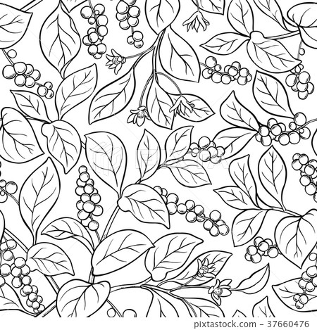 schisandra seamless pattern schisandra seamless pattern 37660476