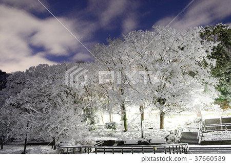 Hanajima Park at night with snow 37660589