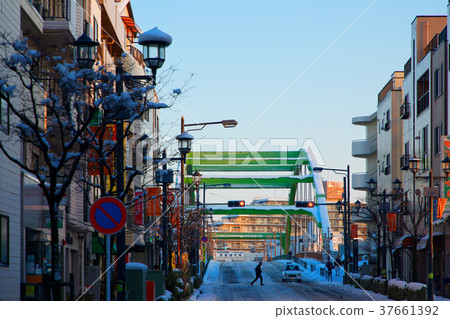 積雪的Odaiba橋樑和購物街道 積雪的Odaiba橋樑和購物街道 37661392