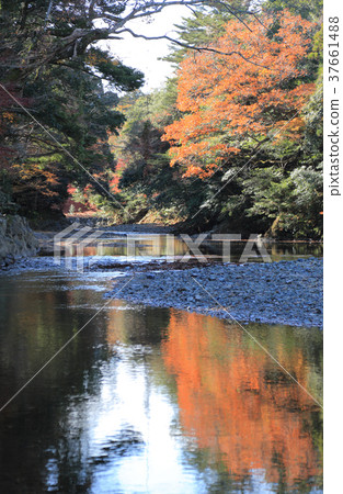 Looking upstream from Ise Jingu Uchizu Isuzugawa Mitawashiba 37661488