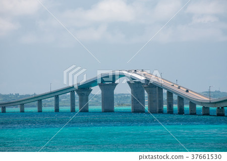 大橋橋 大橋橋 37661530