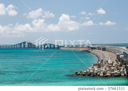 Irabu Ohashi 2 37661531