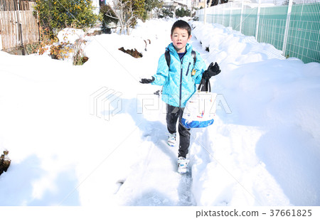 雪道學校路 37661825