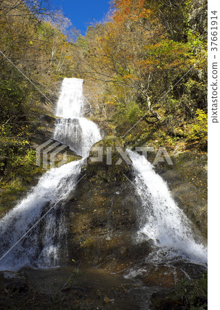 Karasawa waterfall of autumn leaves Karasawa waterfall of autumn leaves 37661914
