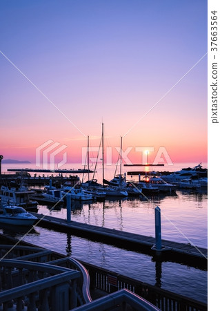 Dawn of Atami (August) 37663564
